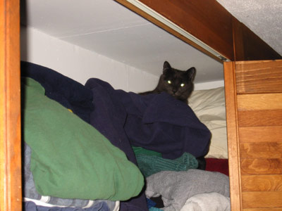Cat Closet
